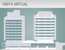 visita virtual